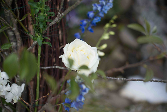 BLP_5195