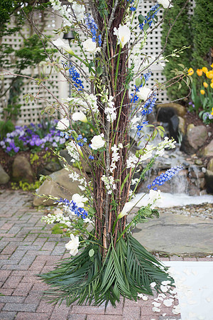 BLP_5194