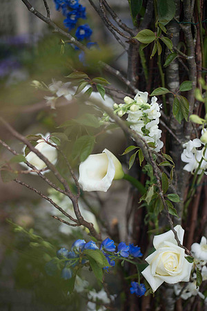 BLP_5196